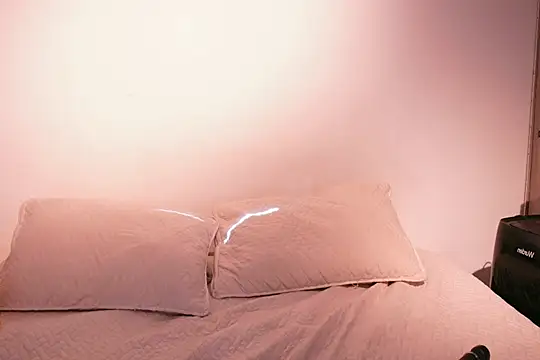 Nicky and Blake online show from 02.02.25