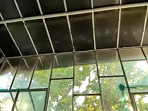 Snapshot of Milky_hairy_mommy chatting on 09.15.25 Milky hairy mommy online show from 09.15.25