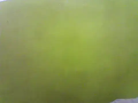 Claris2 online show from 01.21.25