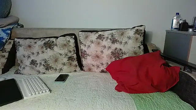 Snapshot of baramadalin chatting on 11.20.25 baramadalin online show from 11.20.25