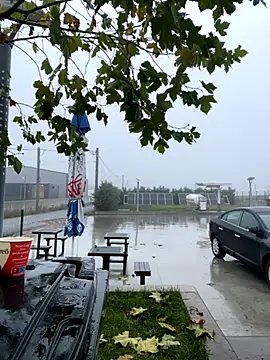 Snapshot of baramadalin chatting on 11.21.25 baramadalin online show from 11.21.25