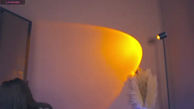 Snapshot of FairyFlutter chatting on 12.20.24 FairyFlutter online show from 12.20.24