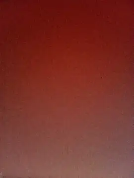 Snapshot of trieungoclnt chatting on 11.11.25 trieungoclnt online show from 11.11.25