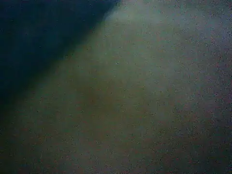 mumbi91 online show from 01.16.25