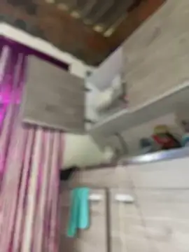 Emiily lee online show from 01.27.25