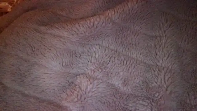 loveofbea online show from 04.09.26