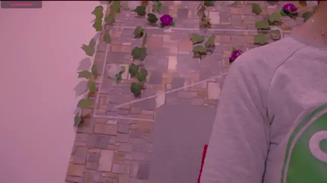 CrazyRousex online show from 01.14.26