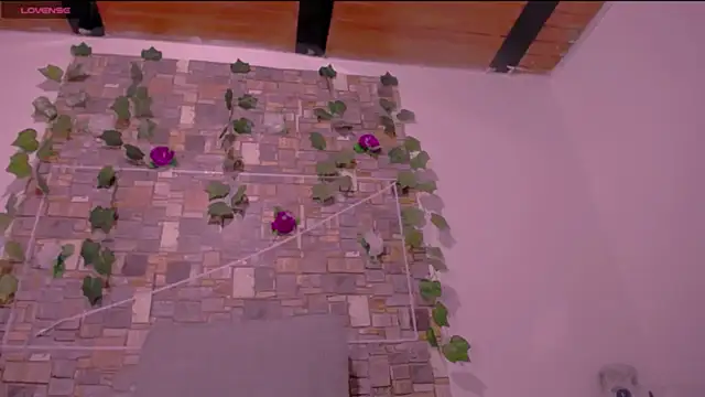 CrazyRousex online show from 03.04.26