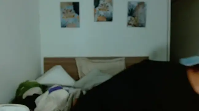 Baltazar Dupont online show from 01.24.25