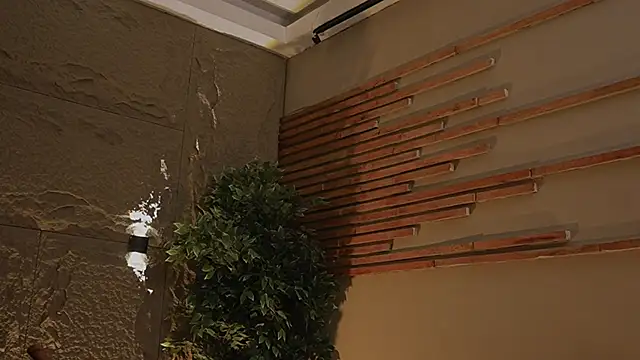 Snapshot of Logan_Varela chatting on 11.01.25 Logan Varela online show from 11.01.25