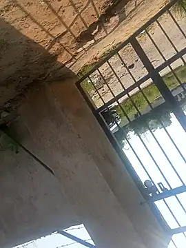 Snapshot of rjxraj chatting on 10.23.25 rjxraj online show from 10.23.25