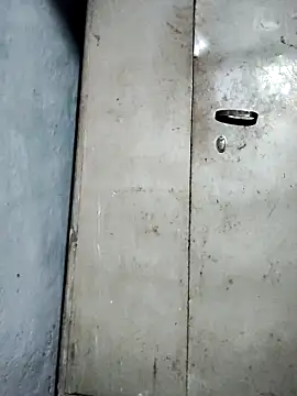 Snapshot of Hey_Ziya chatting on 11.17.25 Hey Ziya online show from 11.17.25