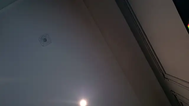 Snapshot of Liv_Fay chatting on 12.28.24 Liv Fay online show from 12.28.24