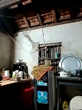 Snapshot of Hotpussy3ox chatting on 03.02.26 Hotpussy3ox online show from 03.02.26