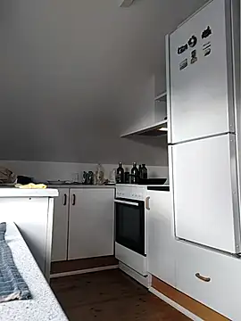 Snapshot of Analcholic chatting on 11.02.25 Analcholic online show from 11.02.25