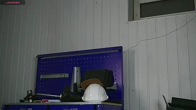 dustyn fox online show from 01.17.26