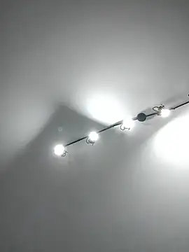 Meriozoro online show from 11.05.25