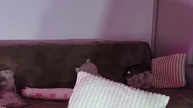 Snapshot of Eva_Millar chatting on 02.21.26 Eva Millar online show from 02.21.26