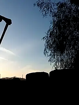 luke thighwalker2469 online show from 12.31.24