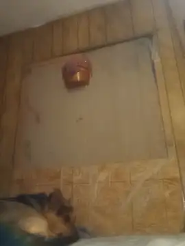 luke thighwalker2469 online show from 02.15.25