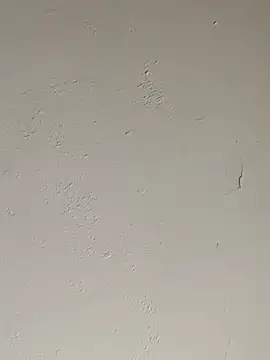 cazaperdidas online show from 09.17.25