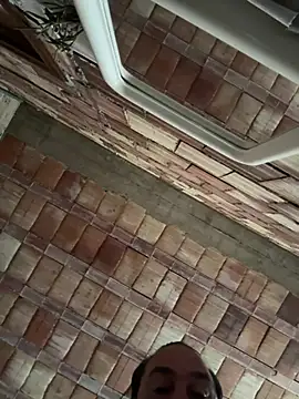 ros217 online show from 03.18.26