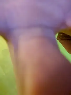 Snapshot of jorwee chatting on 01.15.25 jorwee online show from 01.15.25