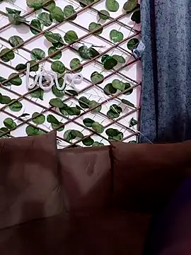 Snapshot of Bold-Cat chatting on 02.07.25 Bold-Cat online show from 02.07.25