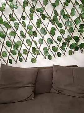 Snapshot of Bold-Cat chatting on 10.02.25 Bold-Cat online show from 10.02.25