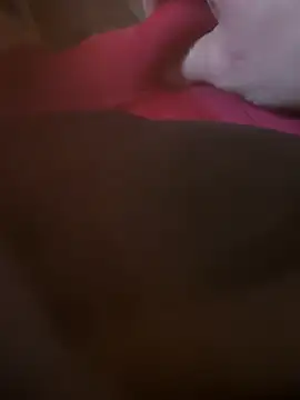 Fjome online show from 11.15.25