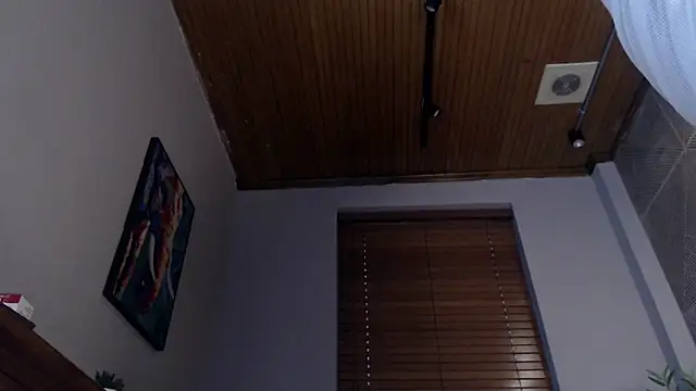 Snapshot of Ian_Daviz chatting on 02.11.25 Ian Daviz online show from 02.11.25