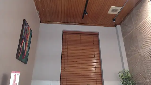 Snapshot of Ian_Daviz chatting on 02.24.25 Ian Daviz online show from 02.24.25