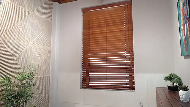 Snapshot of Ian_Daviz chatting on 03.17.25 Ian Daviz online show from 03.17.25