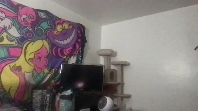 SpunCandy online show from 05.27.26