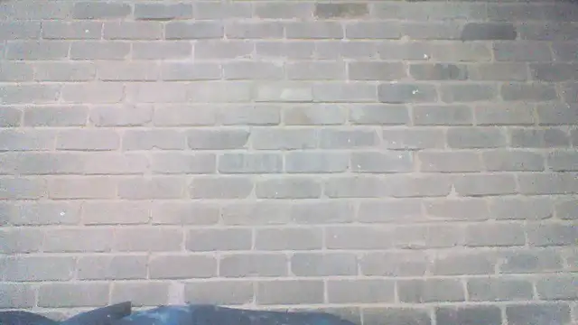 Snapshot of EksJouneMwah chatting on 11.05.25 EksJouneMwah online show from 11.05.25