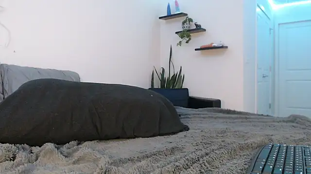 Snapshot of fallongrayxo chatting on 03.08.25 fallongrayxo online show from 03.08.25