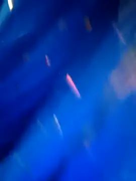 sneha rose online show from 09.08.25