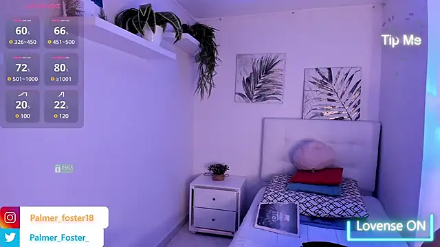 Palmer-Foster online show from 03.05.25