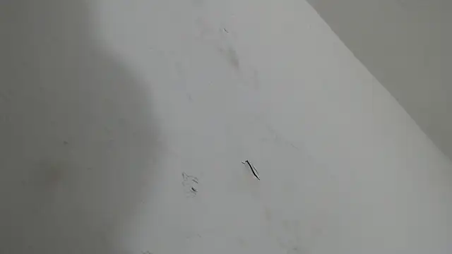 brant garciabbc online show from 01.18.26