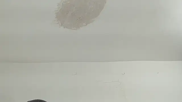 brant garciabbc online show from 04.16.26