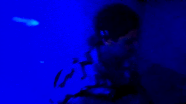 couplemilk online show from 04.06.26