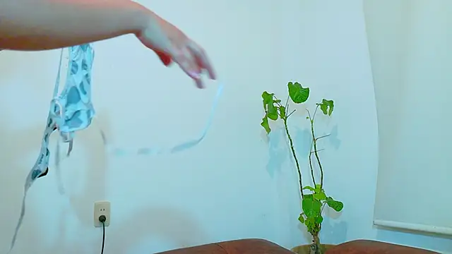 Snapshot of clydexxxbunny chatting on 12.07.24 clydexxxbunny online show from 12.07.24