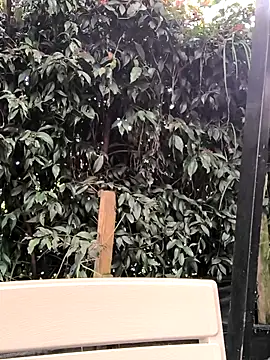 Fun Everywhere online show from 03.14.25