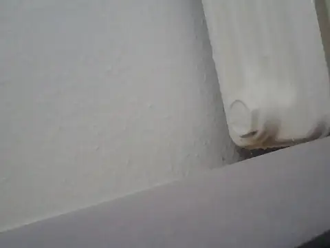 lickthehottie online show from 07.14.26
