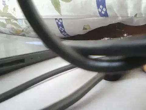 lickthehottie online show from 07.23.26