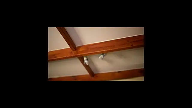 Bellis Perenis online show from 02.26.26