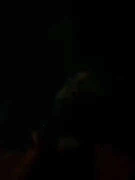 Snapshot of Rastamanzigy22 chatting on 02.12.26 Rastamanzigy22 online show from 02.12.26