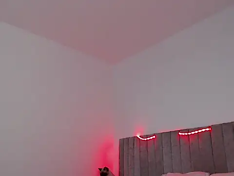 Snapshot of thomas_gun chatting on 11.07.25 thomas gun online show from 11.07.25