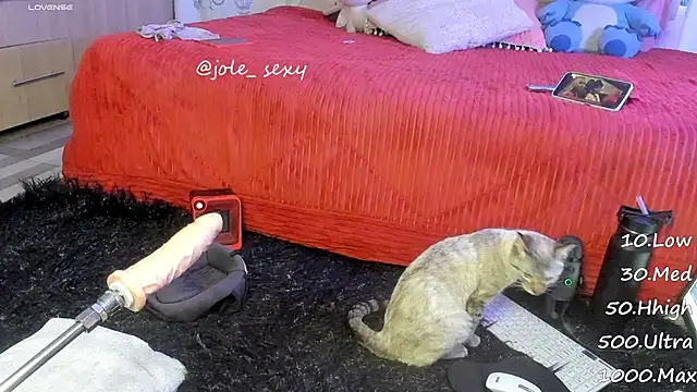 jolee   online show from 01.10.25