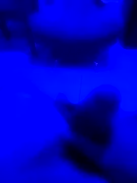 Snapshot of NICXUSS chatting on 12.04.25 NICXUSS online show from 12.04.25